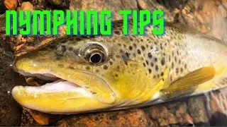 NYMPHING Tips and Tricks - fly fishing