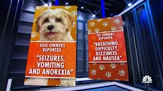 Deaths of 2,500 pets linked to Seresto flea collars
