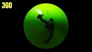 Swimming Through A Jellyfish Soup | Salish Sea Marine Wildlife | 360 Degree Video