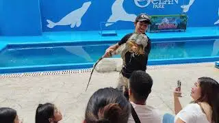Manila Ocean Park #philippines #manila #oceanarium #ecotourism #ocean @MichaelTillTravels