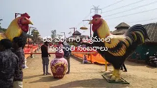 రవి వర్మ గారి ఆశ్రమంలో సంక్రాంతి సంబరాలు
