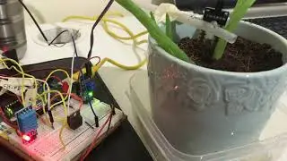 Smart Irrigation System Working Video