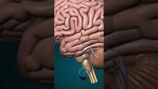 Tech that can read your brain 🧠 AI