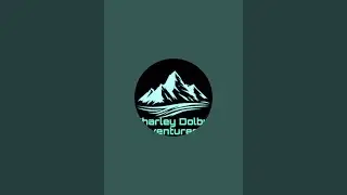 Charley Dolby Adventures 3  live stream 2026
