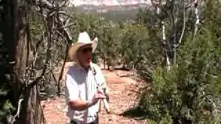 Native American Flute, Birdseye Fsharp Solo By Richard Maynard