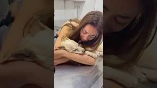 Me despedí de mi perrita… 💔🕊️