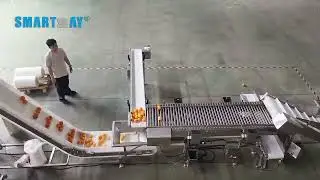 Orange automatic weighing and packing machine