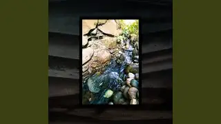 Mindful Waters