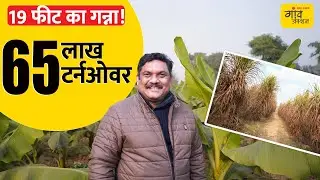 19 फीट ऊंचा गन्ना, बीज बेचकर 4 गुना मुनाफा | 24 एकड़ से ₹65 लाख कमाई का फार्मिंग मॉडल