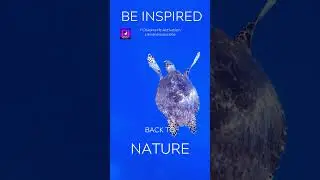 Deep Sea 432Hz Meditation: Find Inner Peace and Relaxation #shorts