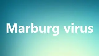 Marburg virus - Medical Meaning and Pronunciation
