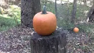Pumpkin Killing Methods VI