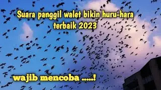 suara panggil walet bikin huru-hara terbaik 2023, wajib mencoba