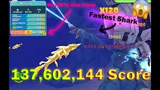 Fastest Shark in Ocean | Hungry Shark
