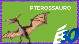 PTEROSSAURO | Biologia em Meia Hora