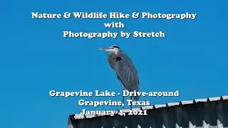 Nature & Wildlife Photography - Grapevine Lake 01-04-20