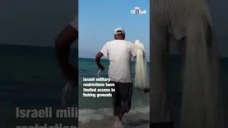 Israel-Gaza War: Struggles of Palestinian Fishermen in Gaza Amid Ongoing Conflict