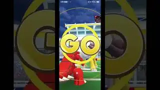 Final Gym Challenge: Hitting Level 73