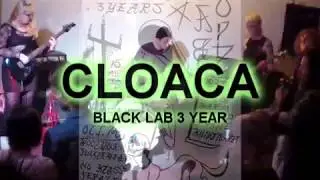 CLOACA - BLACK LAB 3 YEAR