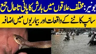 Increase In Snake Bites And Diseases As Result Of Rain Water | Dawn News