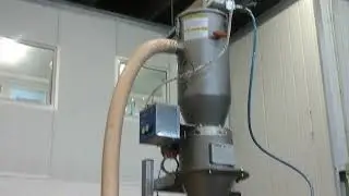 Farina 00
