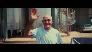 Vigneti del Salento:  Apulia - Dreamland -