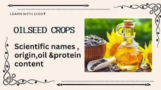 oilseed crops | scientific names |origin| oil content | protein content