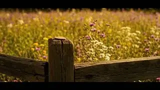 Dreamy Acoustic Instrumental | 1 Hour Soothing Sleep 🌙