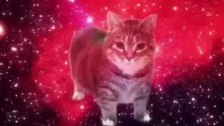 Uiuiui cat super remix