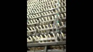 Shrimp Peeler