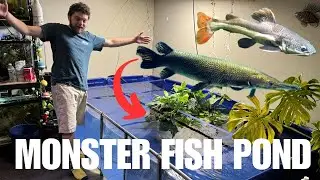 MY NEW 1000 GALLON POND!!!!