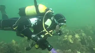 C0016 den osse   groothoek reefballs
