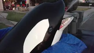 Animatronic Orca Killer whale for custom backyard build