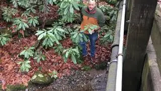 Yale retrieves the Olight from the creek