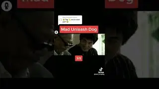 JET~LI {MAD UNLEASH DOG} PART 3