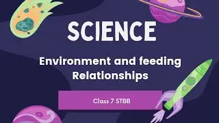 Class 7 | Science | Environment and feeding Relationships | By Miss Maryam Aslam