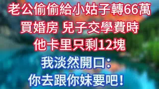 老公偷偷給小姑子轉66萬買婚房，兒子交學費時，他卡里只剩12塊，我淡然開口：你去跟你妹要吧！ #傾聽故事會 #情感故事 #老人频道 #老年健康 #為人處世 #老年生活