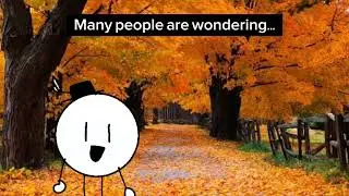 The 