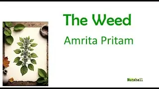 The Weed Short story summary in English and Malayalam with notes || Semester 6||  Analysis || MGU ||