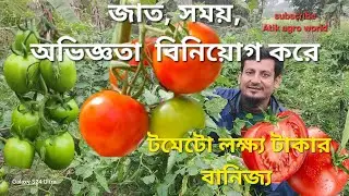 অল্প সময়ে বিনিয়োগ শুধু ইচ্ছে শক্তি কাজে লাগিয়ে সাফল্য। চাকরি না চাকরি দেব। 