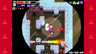 Nuclear Throne Crown Vault Bug?