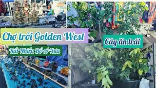 Golden West College Swap Meet California Cuối Tuần,Bán Những Gì 