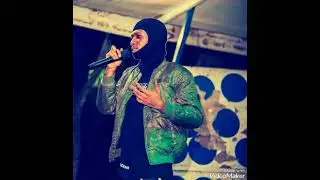 zodo__moove