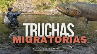 HERMOSOS TRUCHONES 🔥 CERRANDO LA TEMPORADA DE TRUCHAS CON ESTAS TREMENDAS MIGRATORIAS 💪🎣