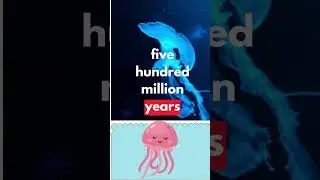 Jellyfish Don&rsquo;t Have Brains