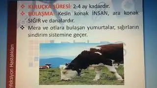 Emfeksiyon hastalıkları Helmint hastalıkları Meral Eder