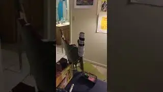 Plasma sword test