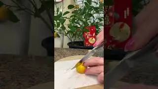 What is a calamondin