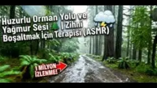 Huzurlu Orman Yolu ve Yağmur Sesi 🌲 | Zihni Boşaltmak İ&ccedil;in Doğa Terapisi (ASMR)