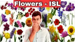 Flowers - Indian Sign Language with Hands for Deaf